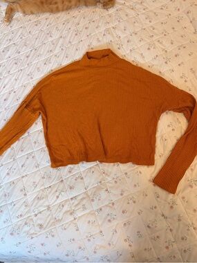 Garage Cropped Ribbed Mock Neck Sweater - Burnt Orange